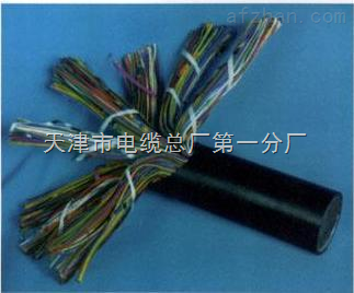天津市電纜總廠第一分廠 專業打造礦用通信電纜，保障井下配線與用戶線路穩定可靠